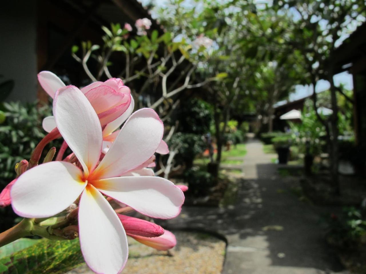 酒店 Phuket Siam - Sha 2*